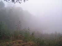 Туман на озере Карасун