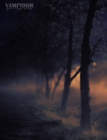 туманная ночь