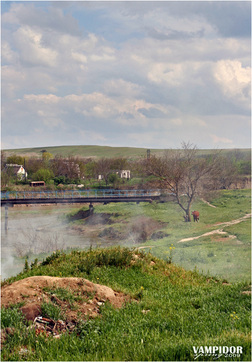 на берегу реки