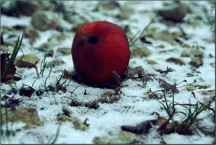 катись яблочко через мороз.........