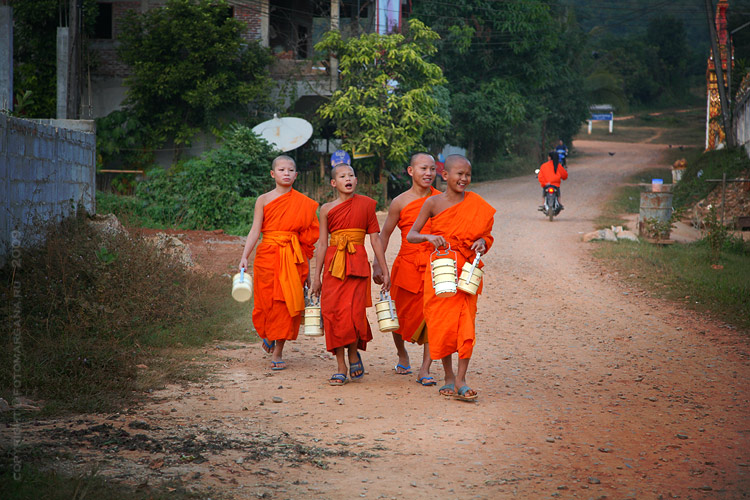LAO Monks