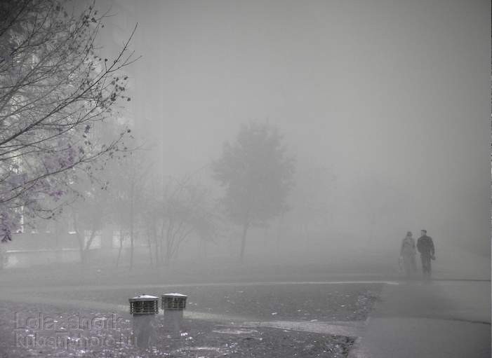 в тумане_in the mist