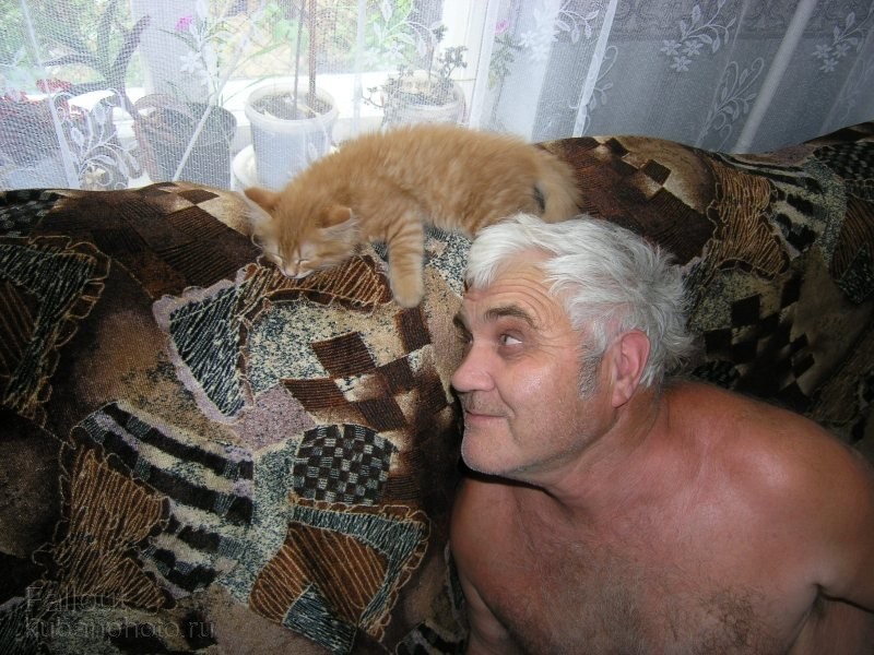 Кот и дед
