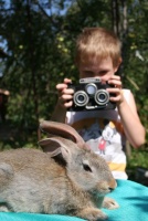 Кролик - фотомодель
