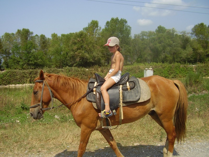 девочка на коне