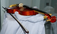 Скрипка с выставки Смаглюка