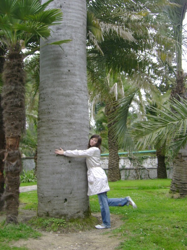 Девушка и пальма