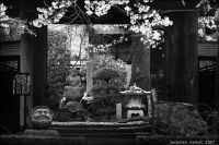уголок японского кладбища_