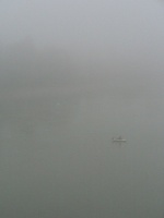 Туман на Кубани. Утро автостопера.