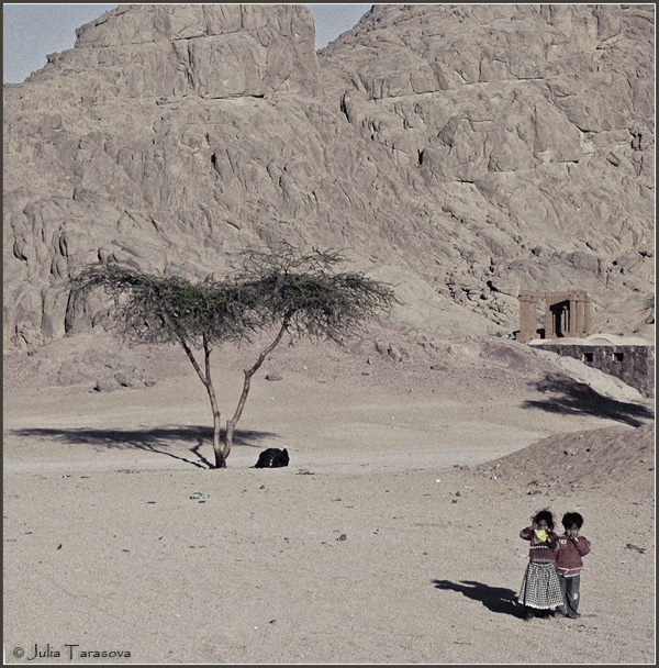 дети пустыни