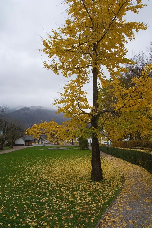 Осень в маленьком австрийском городке
