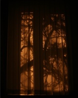Ночной пейзаж за моим окном