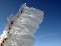 Снежное крыло