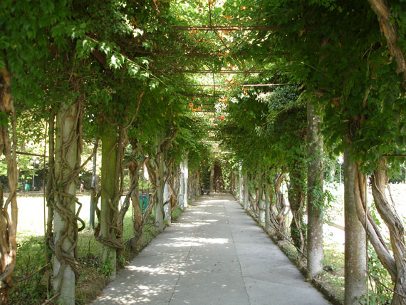 зелёный коридор