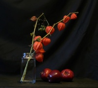 Натюрморт с яблоками и физалисом