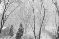 Зима-вид из окна