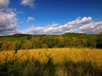 Осень разливается