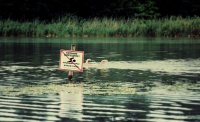 купание запрещено 
