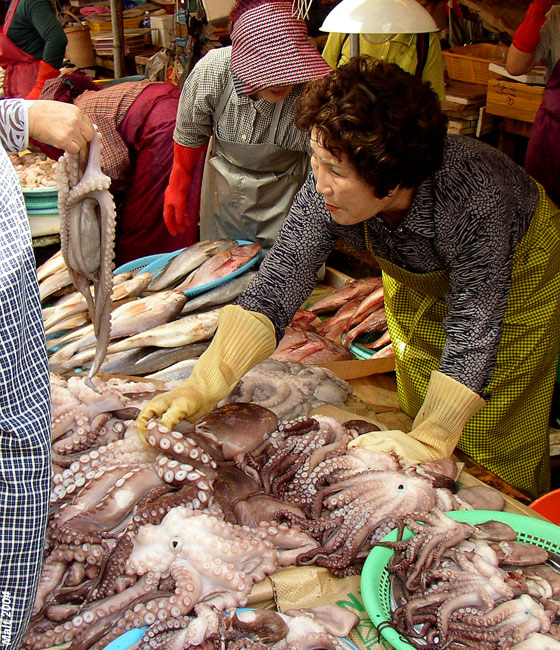 Pusan Fish Market - 2