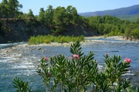 Turkish river