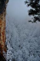 Туман в ущелье Курджипса
