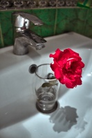 роза в стакане