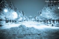 Ночной Красодар когда выпал первый снег.