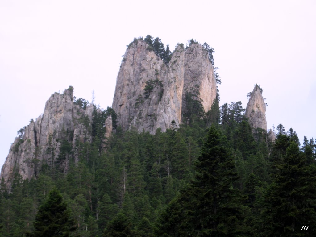 Замок лесного царя