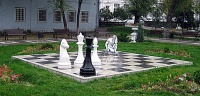 Шахматный памятник