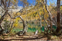 Осень на озере Кардывач
