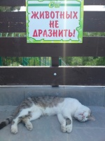 Не дразните спящего зверя :)))