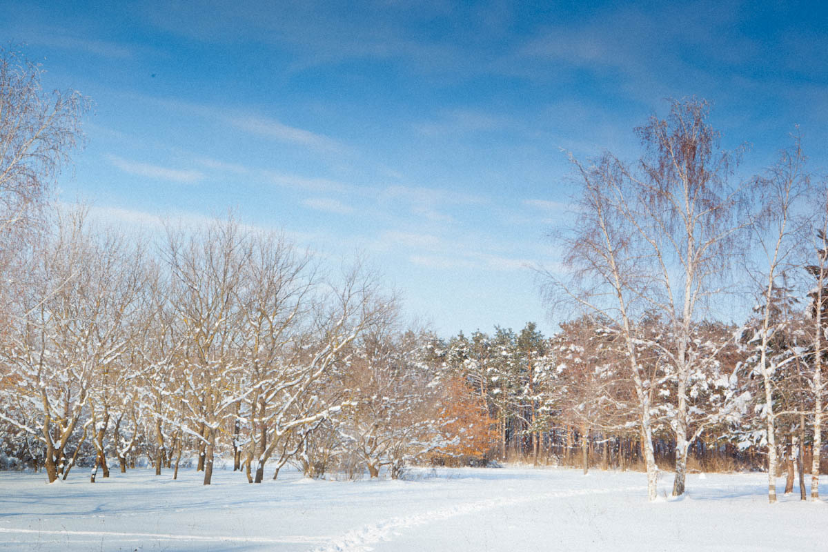  краски зимы 