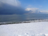 Снег на побережье
