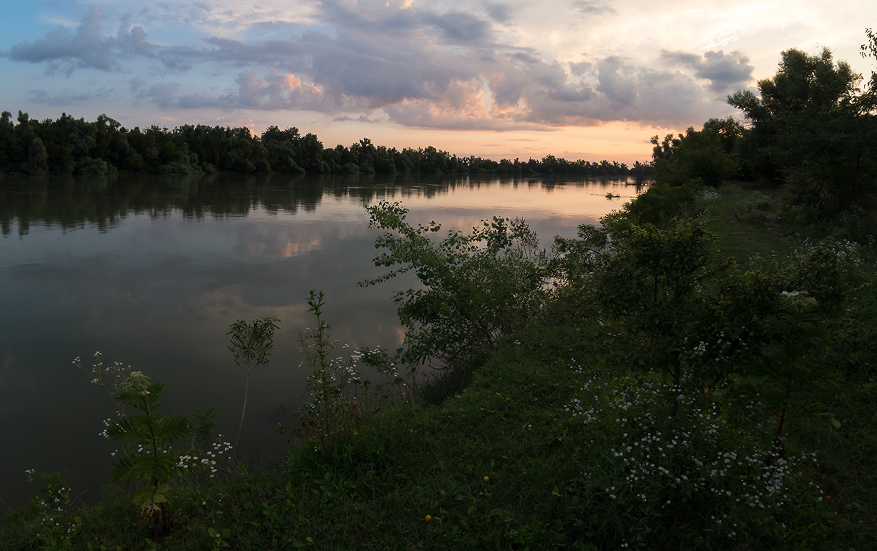 Evening on the River